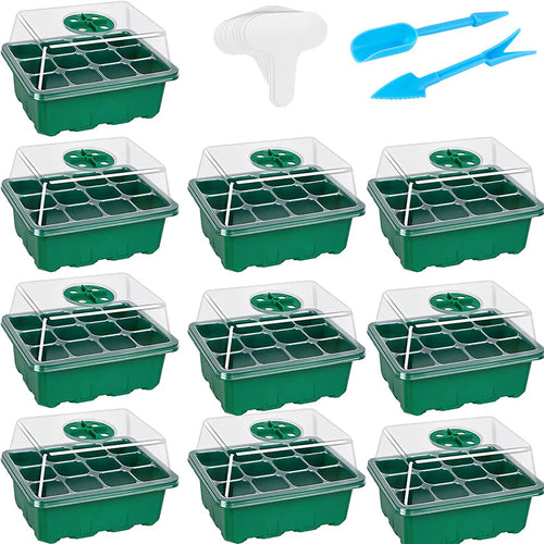 Green seedling trays with clear lids and small tools on a white background
