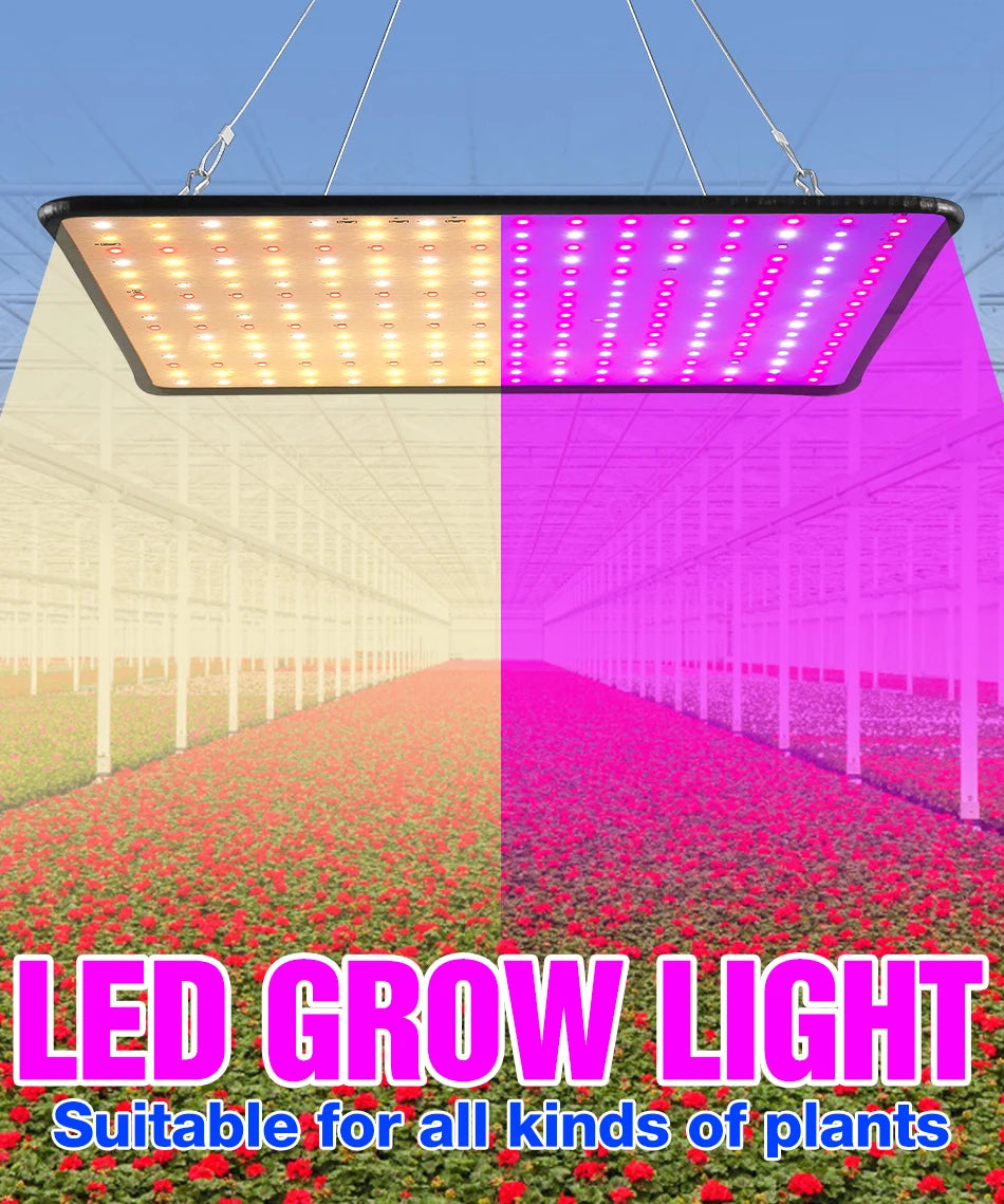 led grow light