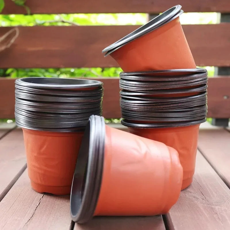 Nursery Seedling Pots – Black & Red (20, 40, 60 or 100 Pack)
