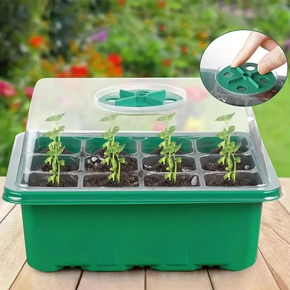 Seed Starter Tray 10-Pack | Ventilation Hole Mini Greenhouse Planting Box
