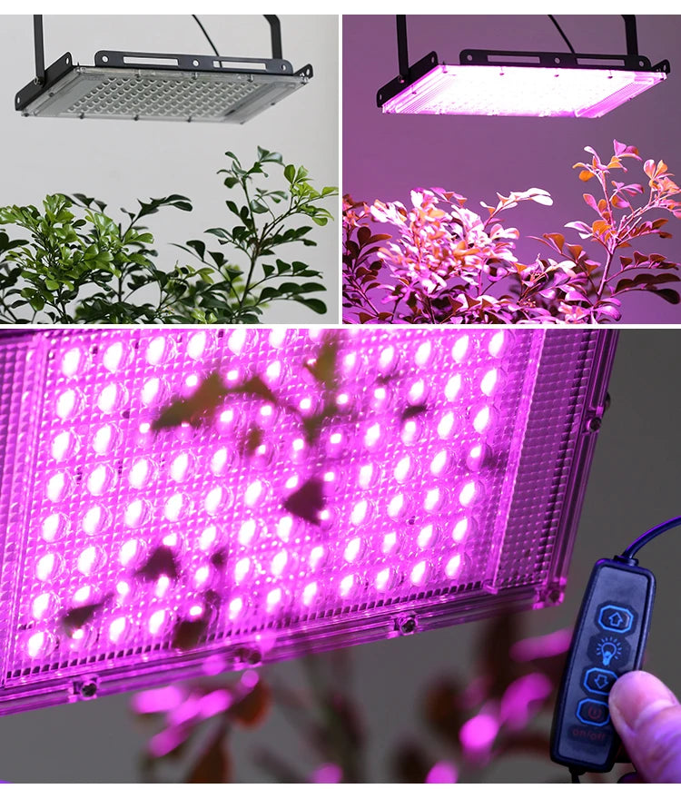USB Full Spectrum LED Grow Light – 50W / 100W / 150W