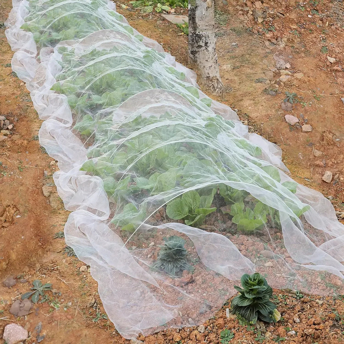 60-Mesh Garden Insect Netting – White PE