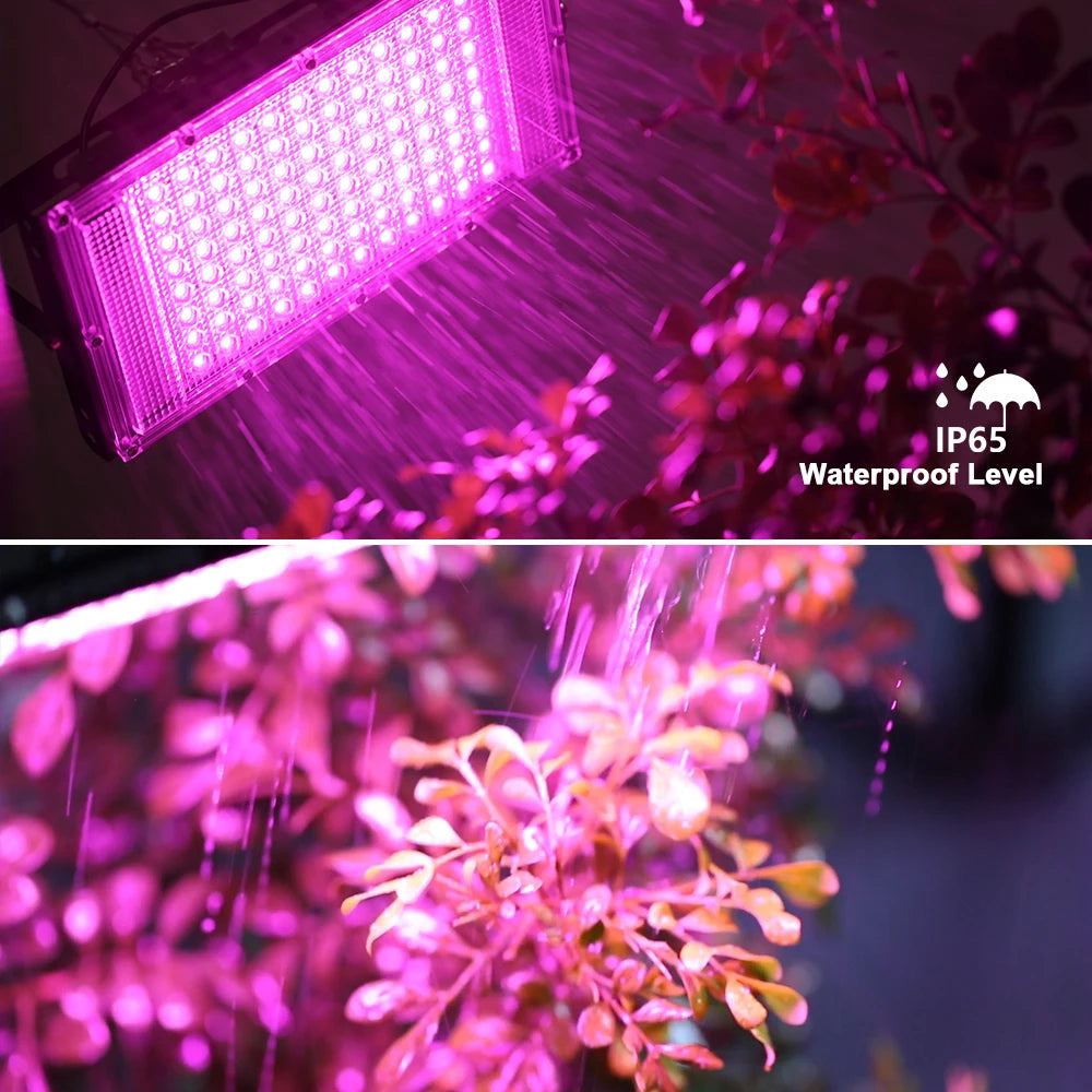 USB Full Spectrum LED Grow Light – 50W / 100W / 150W