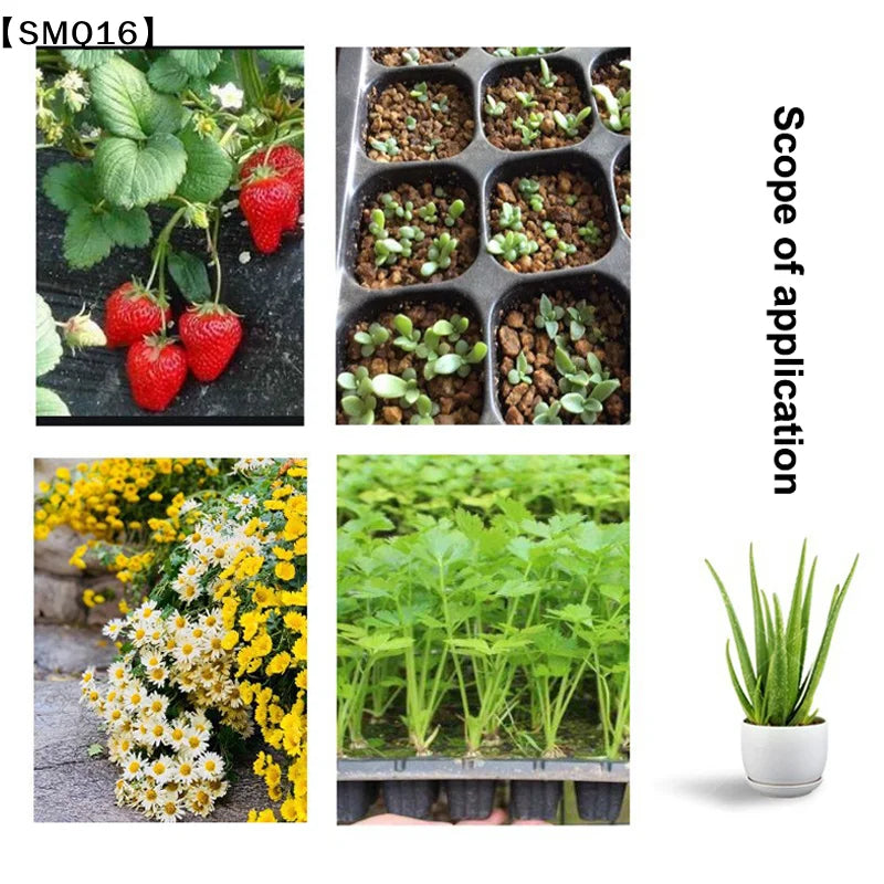 10Pcs Seedling Trays Plastic Gardening Germination Trays Black Seedling Container Garden Supplies For Vegetable Flower【SMQ】