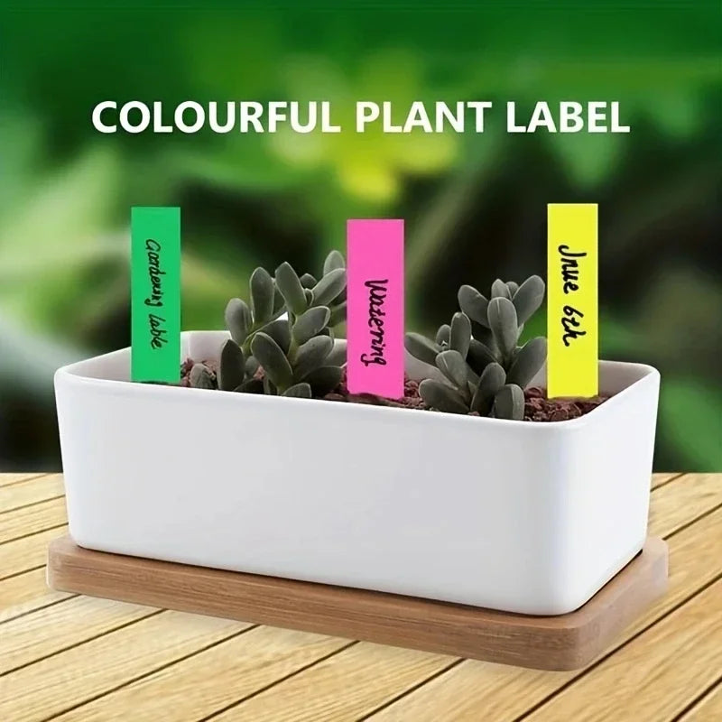 White planter with colorful plant labels on a wooden surface