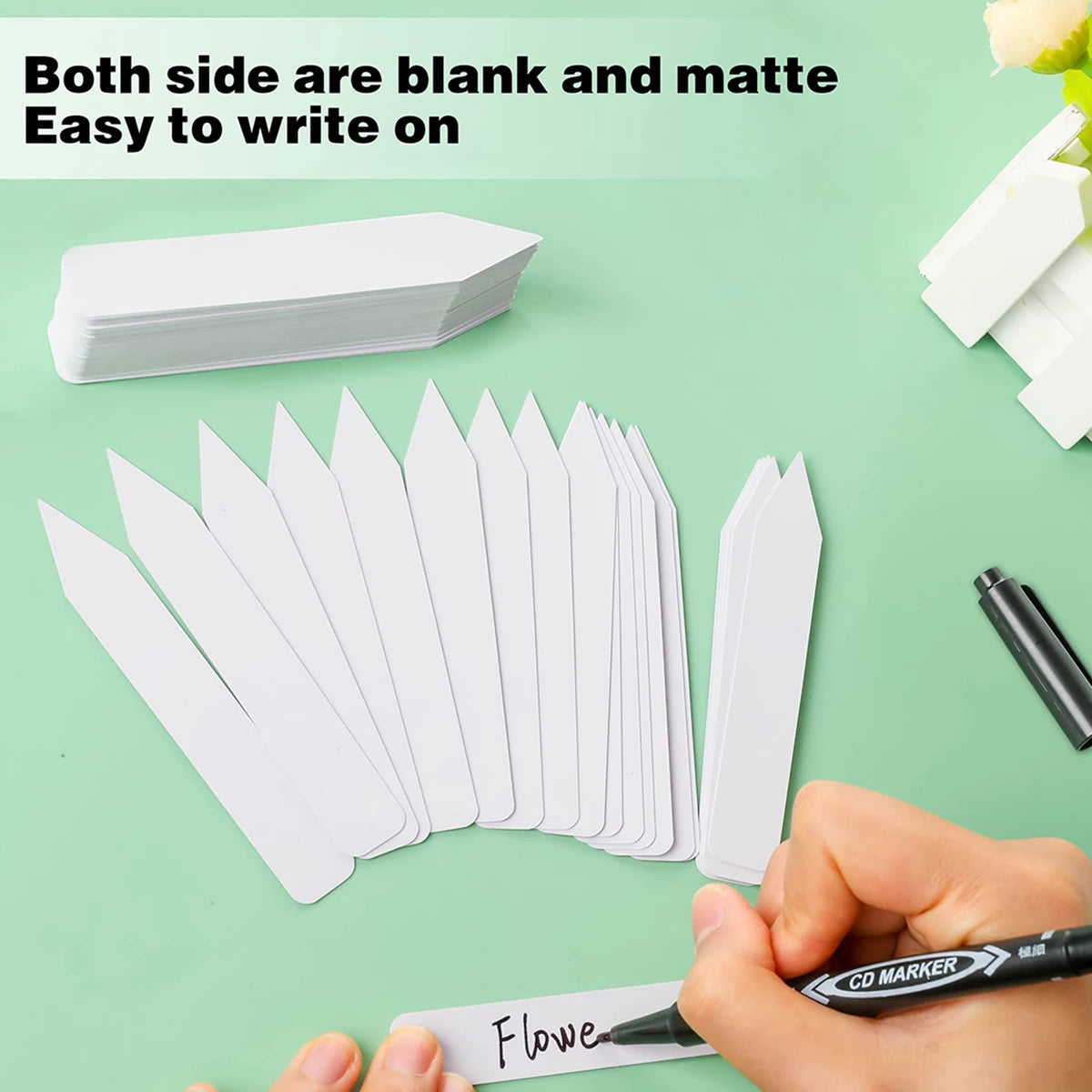 White cards with a hand writing on one of them, on a light green background.