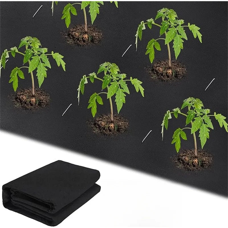 Black fabric with small plants on a black background